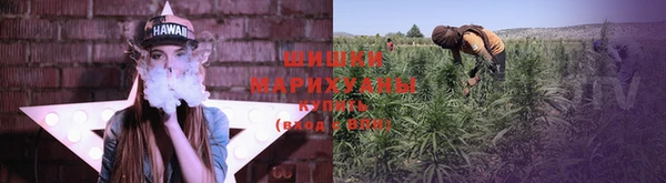 apvp Лиски