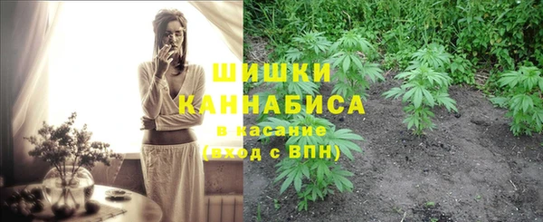 apvp Лиски
